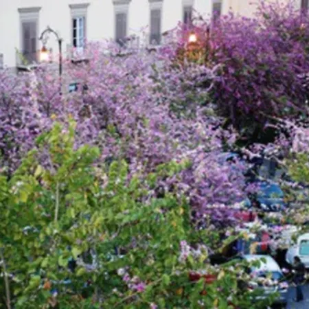 Daire Fra La Citta Storica E Quella Ottocentesca